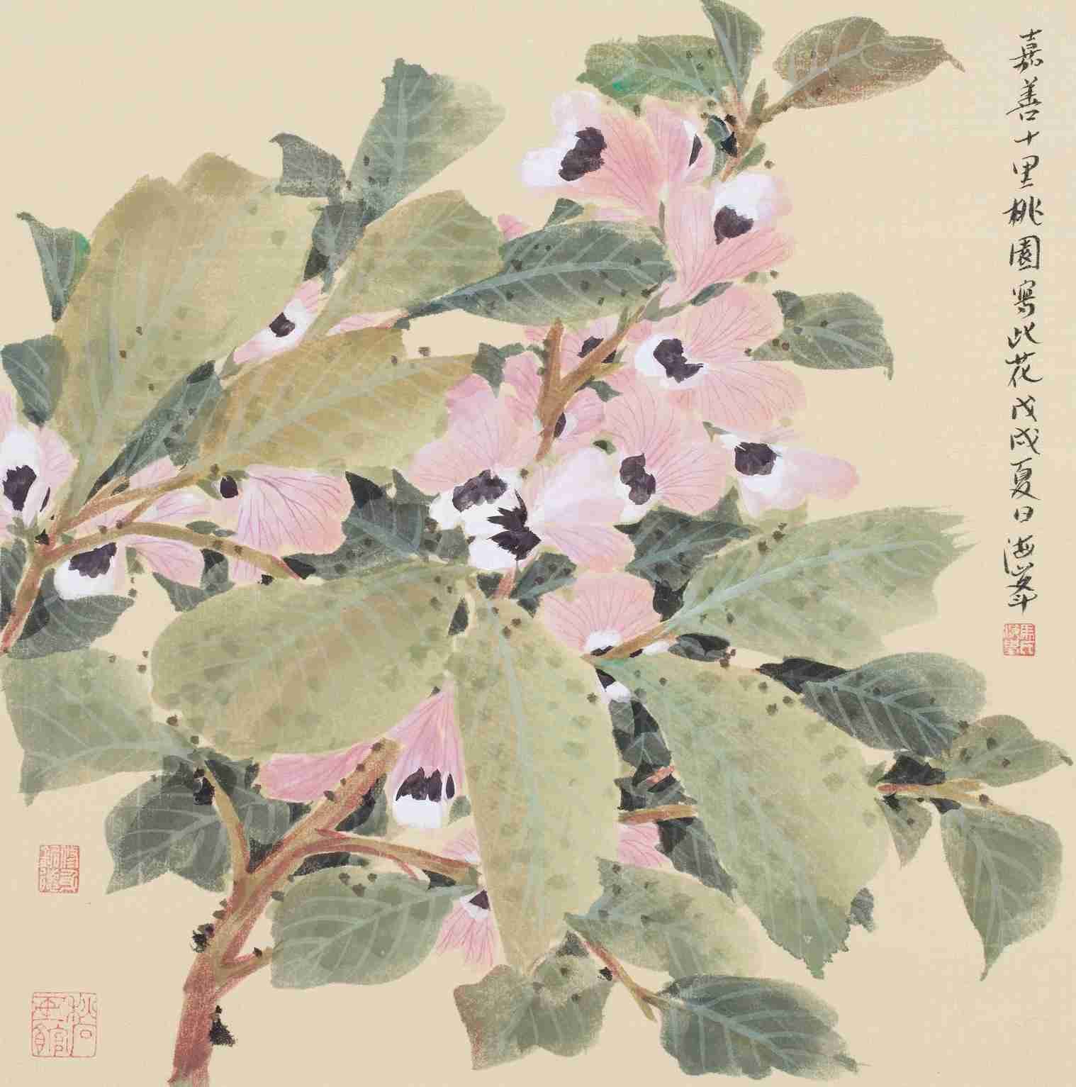 《蚕豆花》绢本系列34cm×33cm 2018《烈日之葵